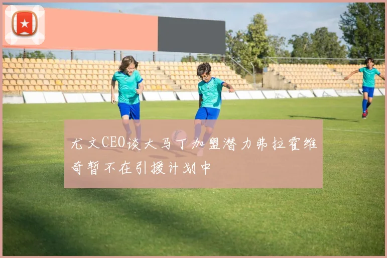 尤文CEO谈大马丁加盟潜力弗拉霍维奇暂不在引援计划中