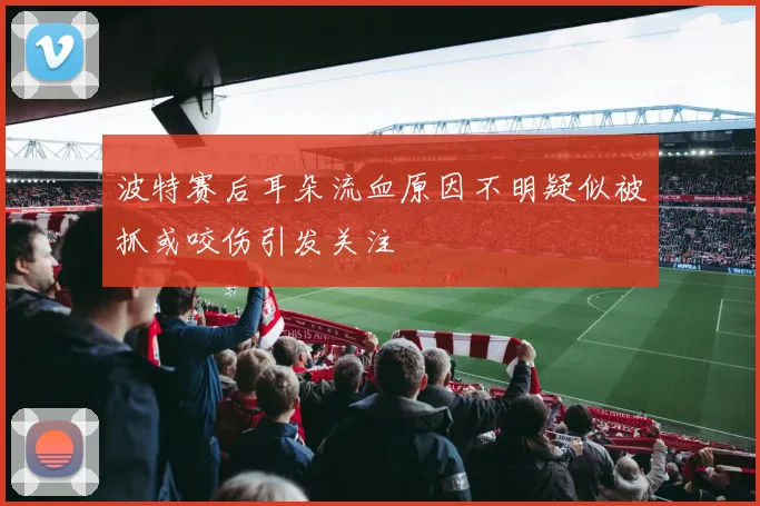 波特赛后耳朵流血原因不明疑似被抓或咬伤引发关注